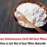 Does Diatomaceous Earth Kill Dust Mites