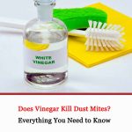 Does Vinegar Kill Dust Mites 2021