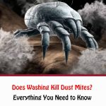 Does Washing Kill Dust Mites
