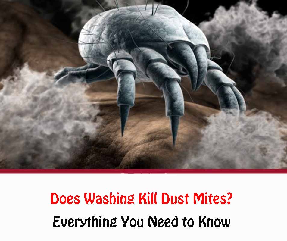 Does Washing Kill Dust Mites