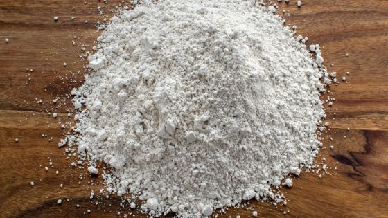 What Is Diatomaceous Earth Used For