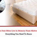 Can Dust Mites Live In Memory Foam Mattress 2021