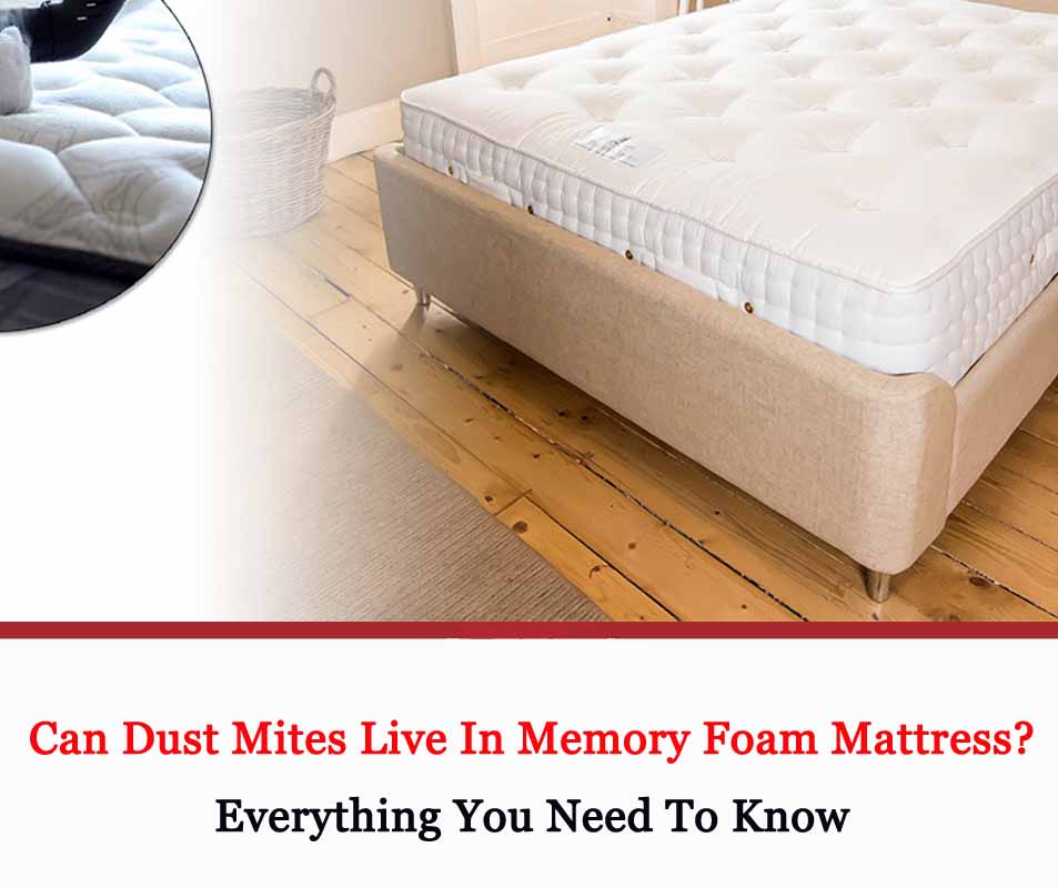 Can Dust Mites Live In Memory Foam Mattress 2021