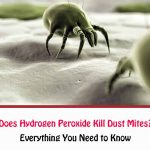 Does Hydrogen Peroxide Kill Dust Mites?