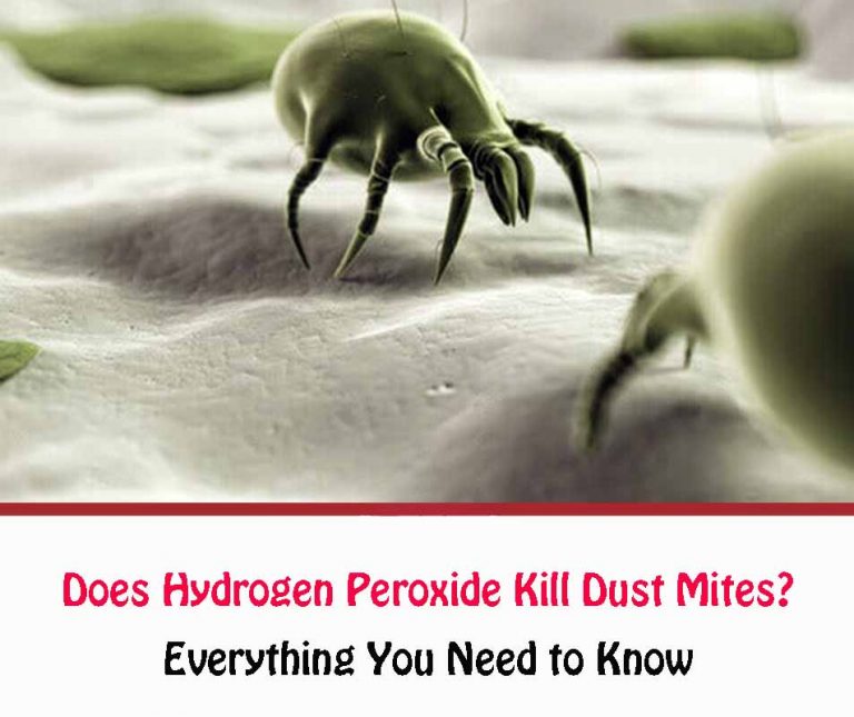 Does Hydrogen Peroxide Kill Dust Mites? All About Dust Mites