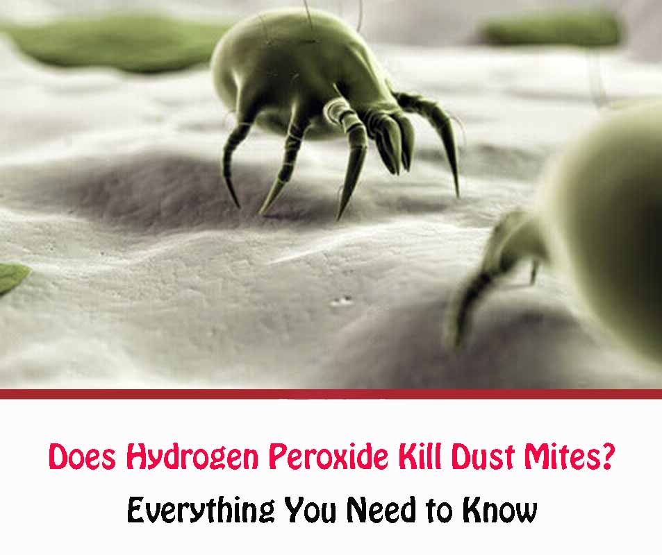 Does Hydrogen Peroxide Kill Dust Mites?