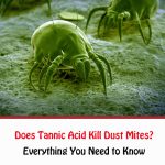 Does Tannic Acid Kill Dust Mites?