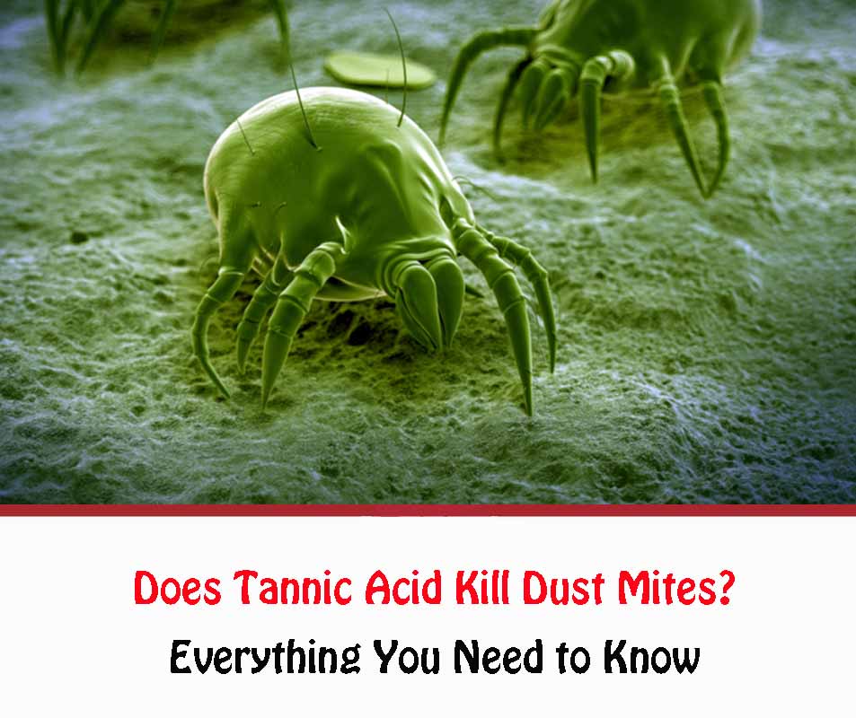 Does Tannic Acid Kill Dust Mites?