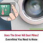 Does The Dryer Kill Dust Mites?