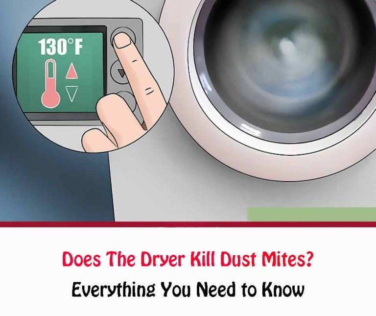 Does The Dryer Kill Dust Mites? All About Dust Mites