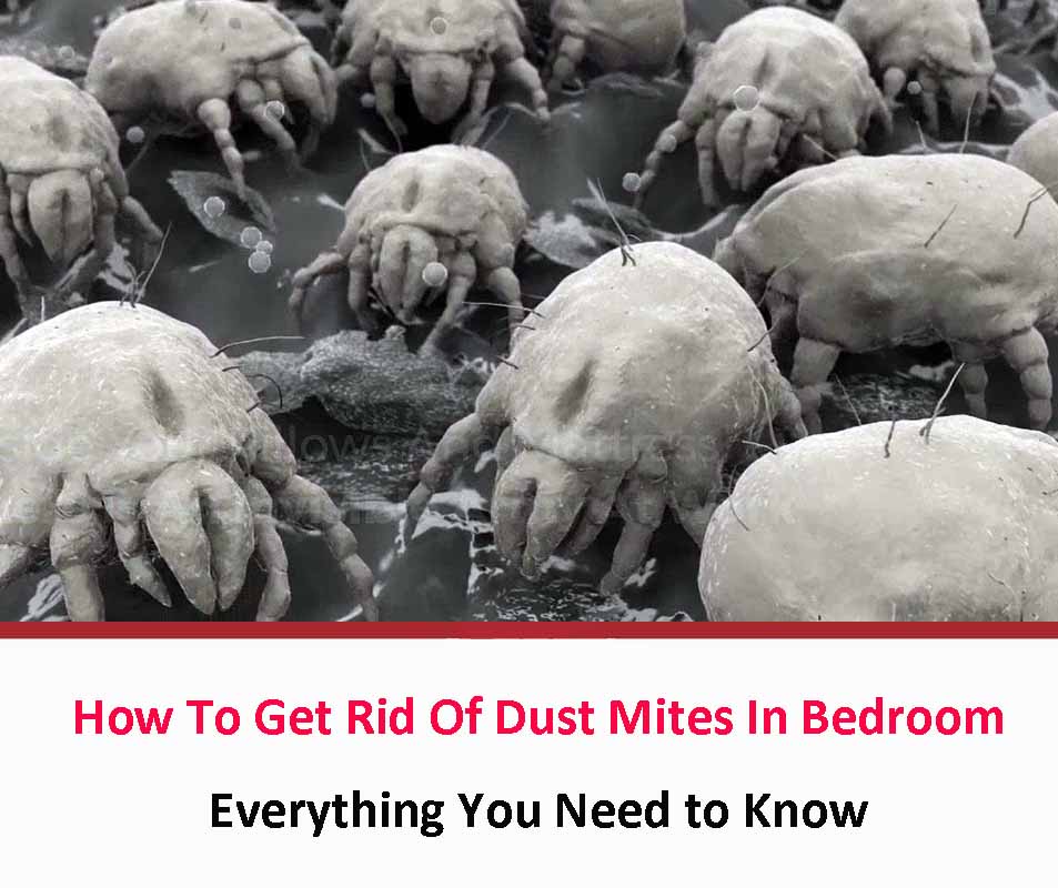 How To Get Rid Of Dust Mites In Bedroom