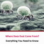 Where Does Dust Come From?