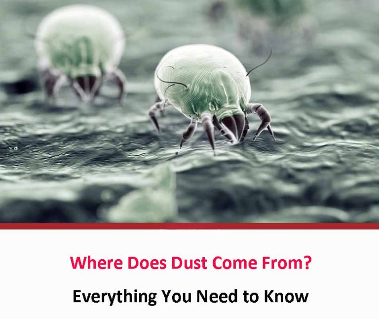 Where Does Dust Come From? All About Dust Mites