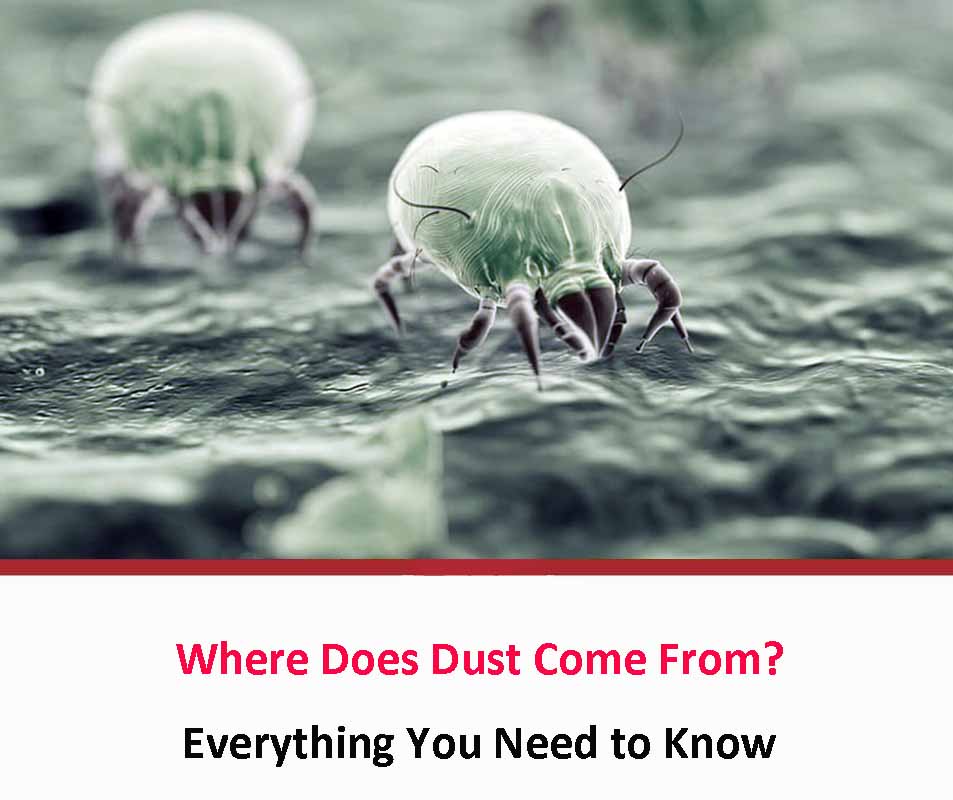 Where Does Dust Come From?