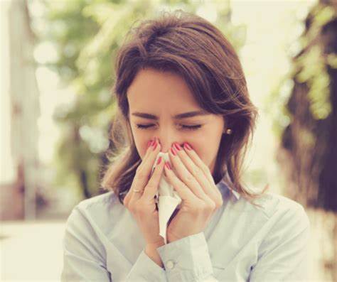 Why Are Dust Mites Harmful To Humans
